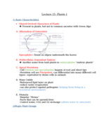 Bio Lecture 15 and 16: Plants 1+2
