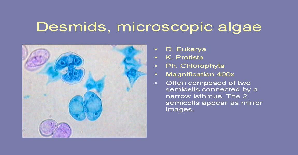 Microbiology