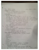 Geology 1100 - Week 1 Notes - The Rock Cycle