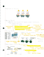 Finishing up Chapter 3!