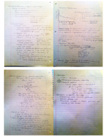 StudySoupSample.pdf