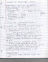 Micro Week Two Lecture Notes