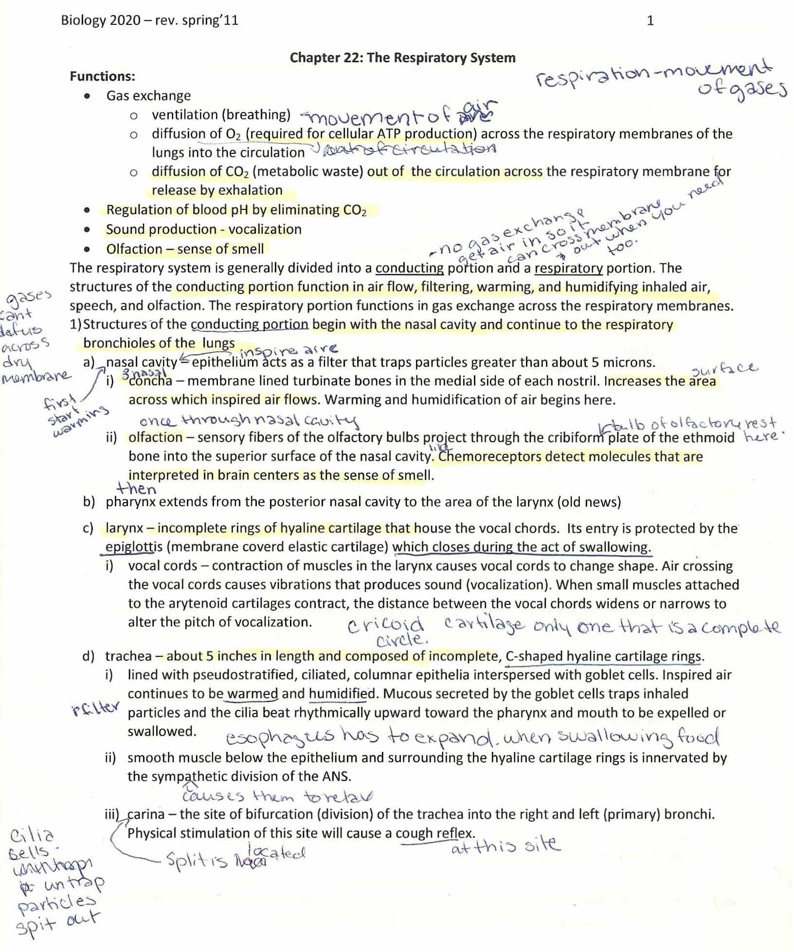 Human Anatomy and Physiology II