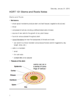HORT101 Stem and Roots Notes 