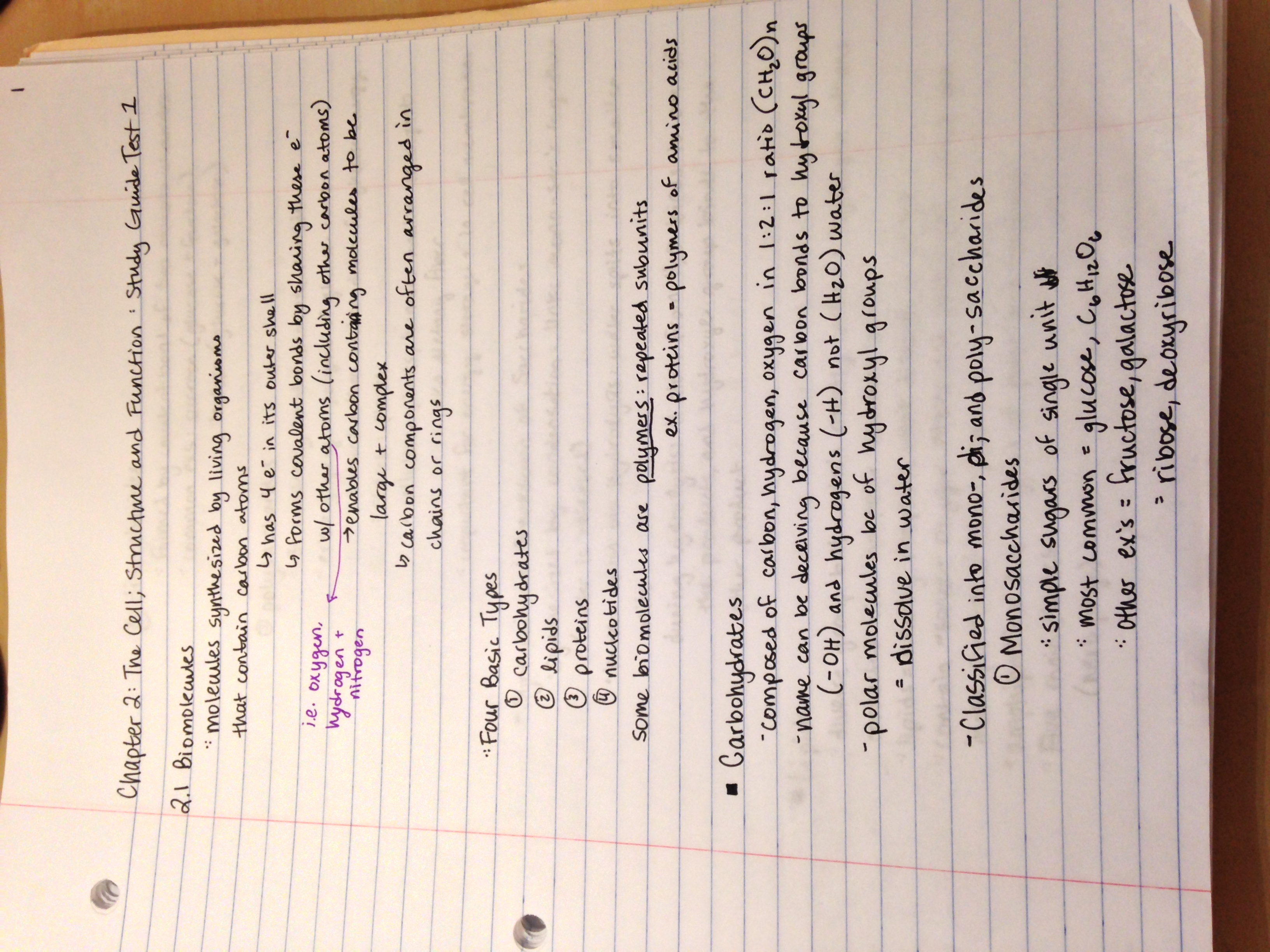 Exam One Study Guide - HCS215