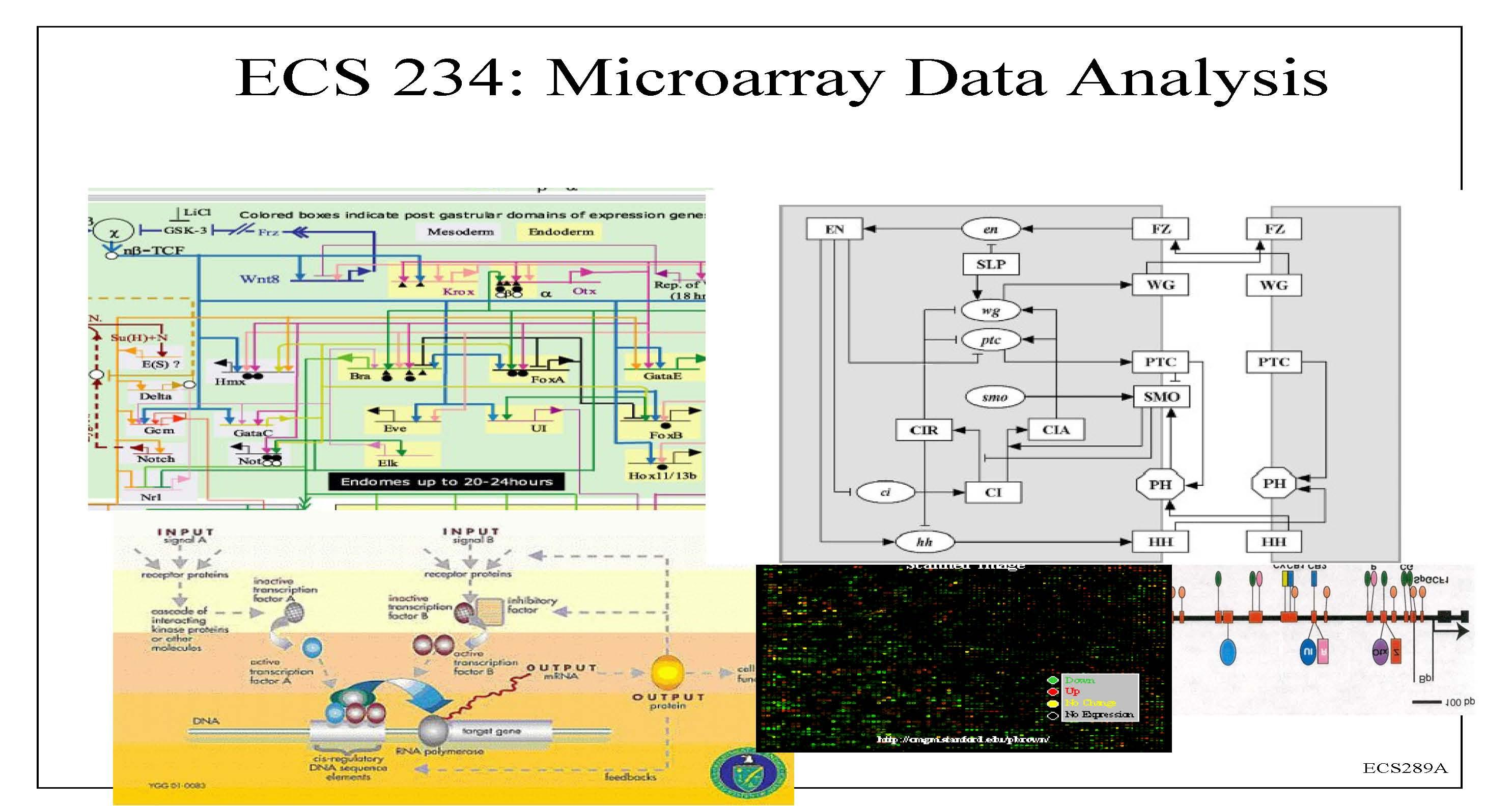 Comp Functional Genomics