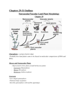 Chapters29-31Outlines.pdf