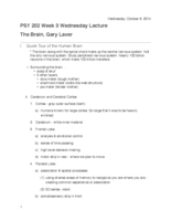 PSY 202 Lecture: The Brain