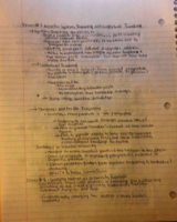 Lecture 1 Notes