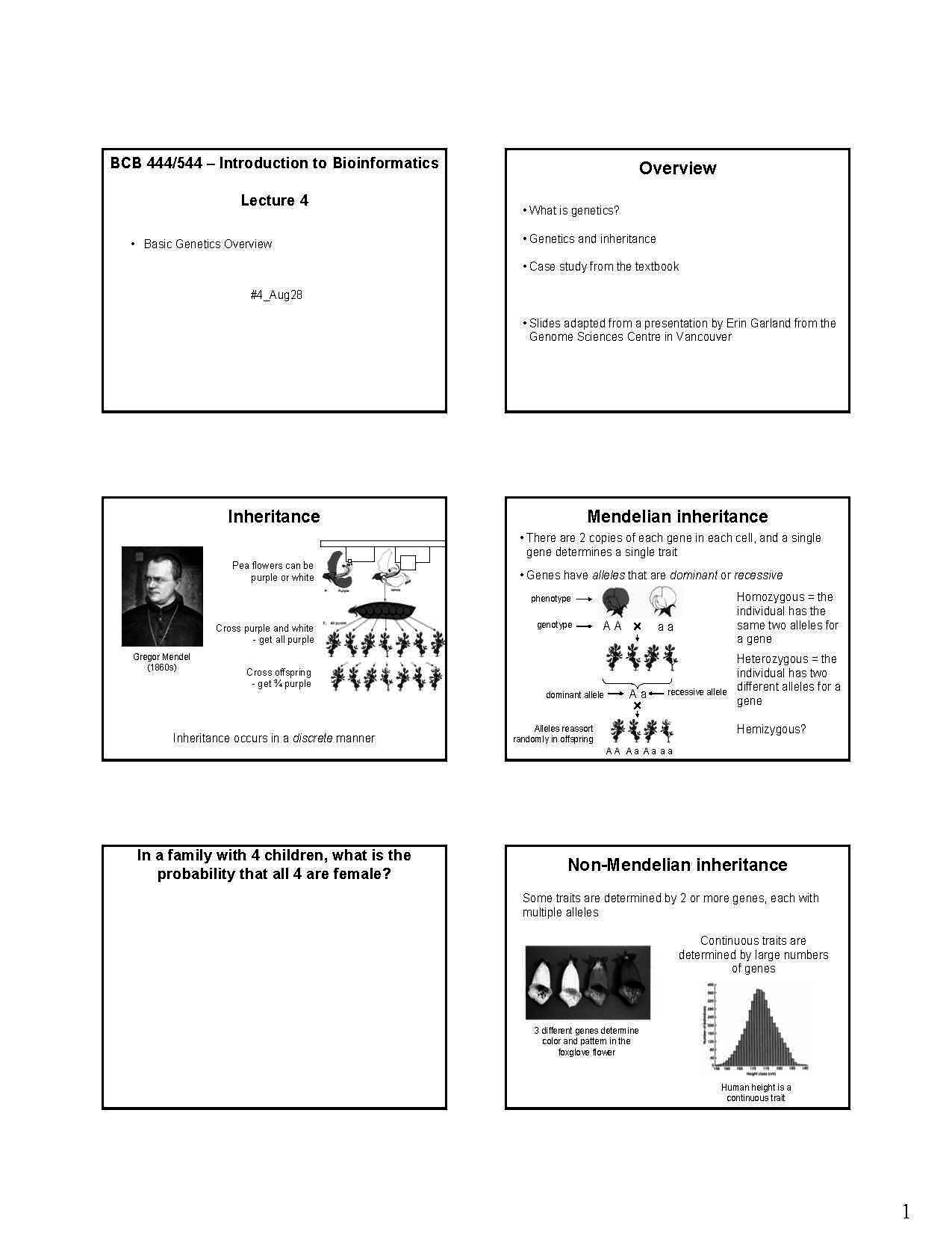 INTRO BIOINFORMATCS