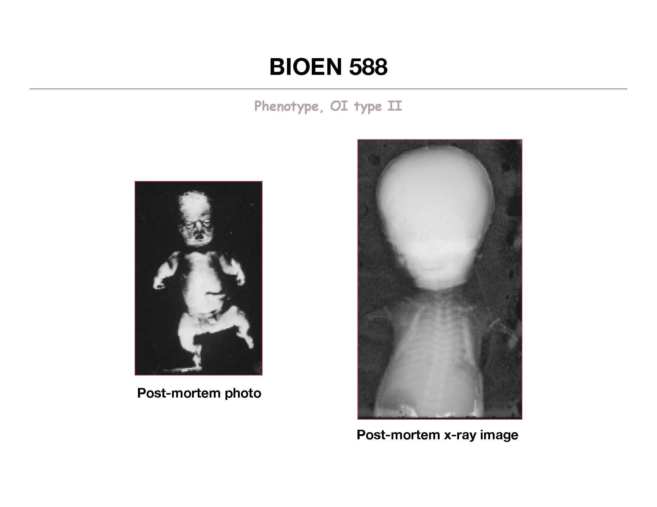 BIOEN PRINC PHYS