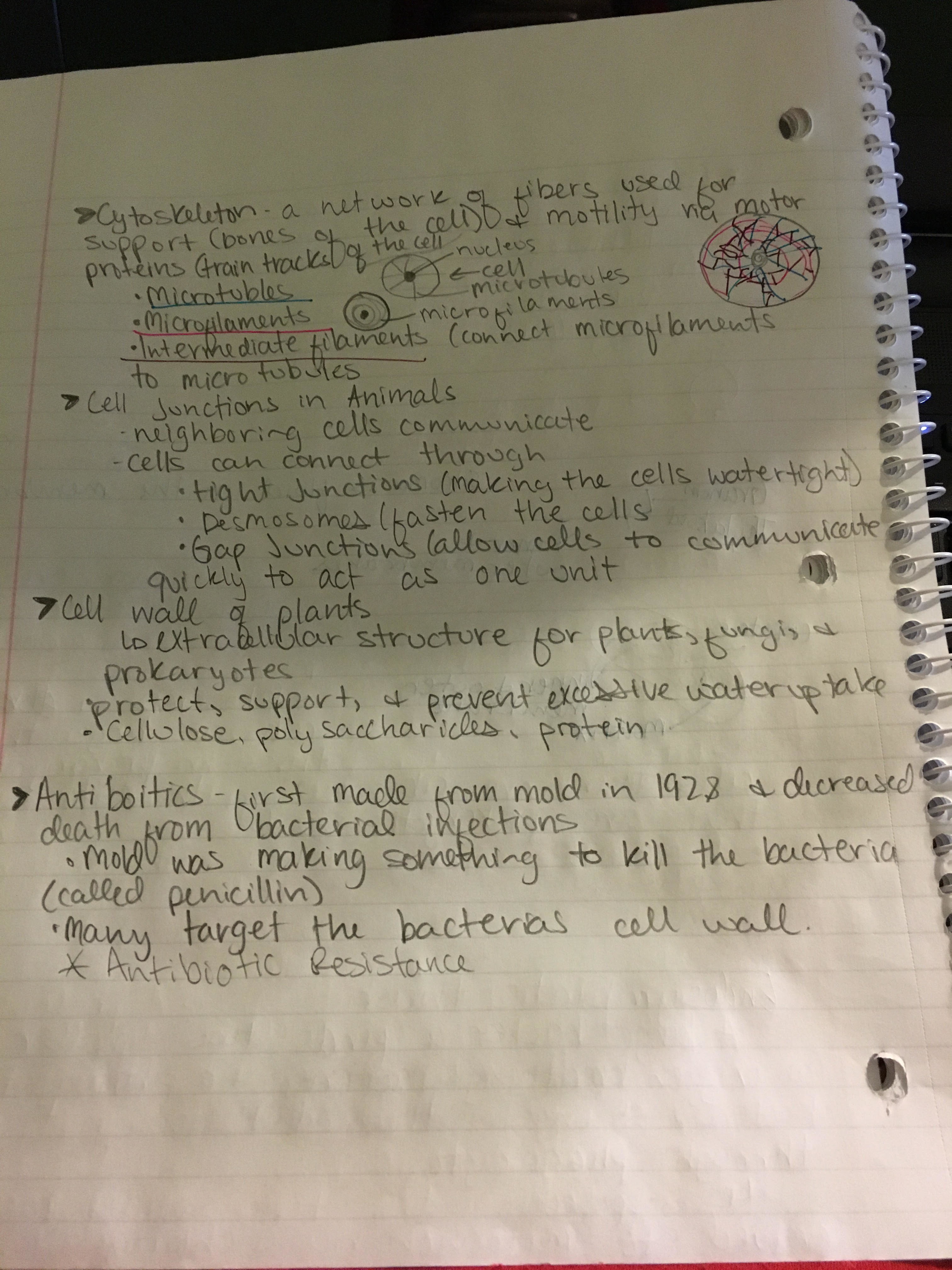 Week 4 Notes