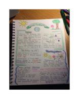 Biology 104 Final Exam Study Guide