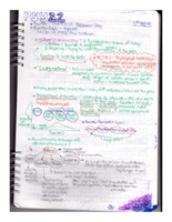 PSY-0022 Emotion: Evolution & Culture 