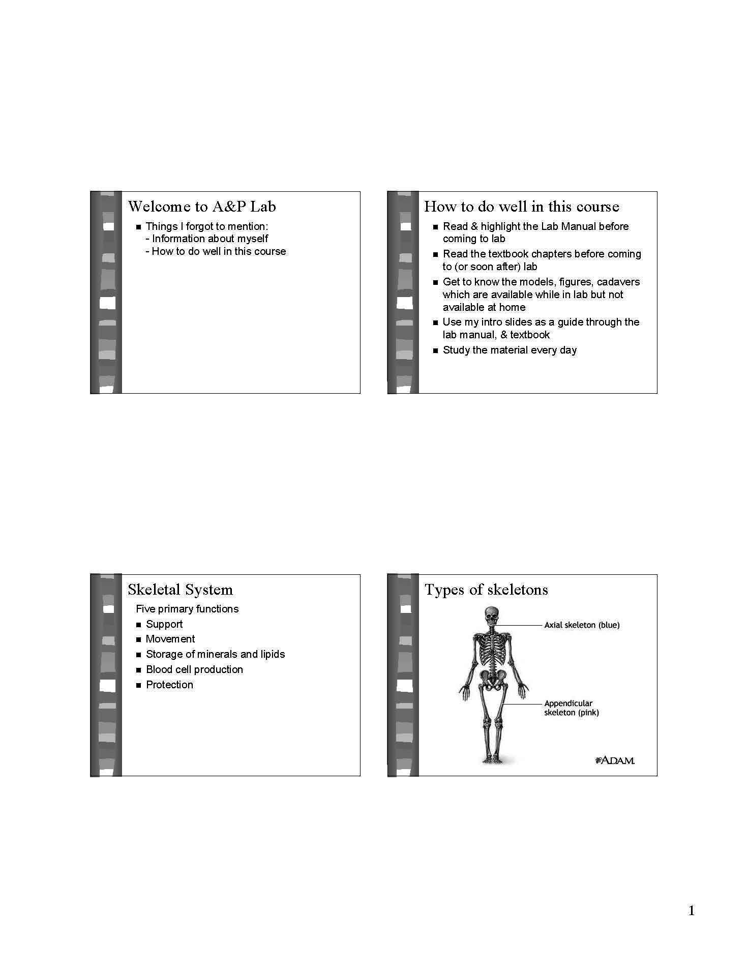 HUMAN ANATOMY AND PHYSIOLOGY LABORATORY