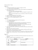 Molecular Week 7 Notes