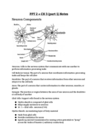 PPT 2 + CH 3 (part 1) Notes