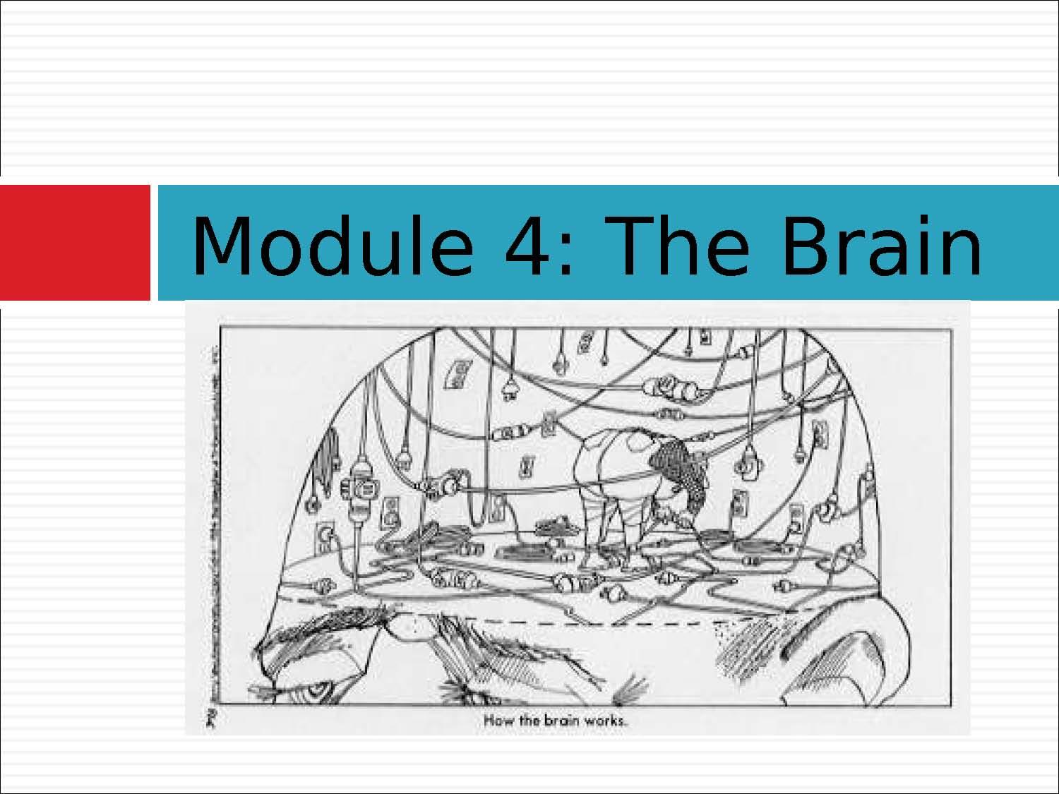 Honors Introductory Psychology