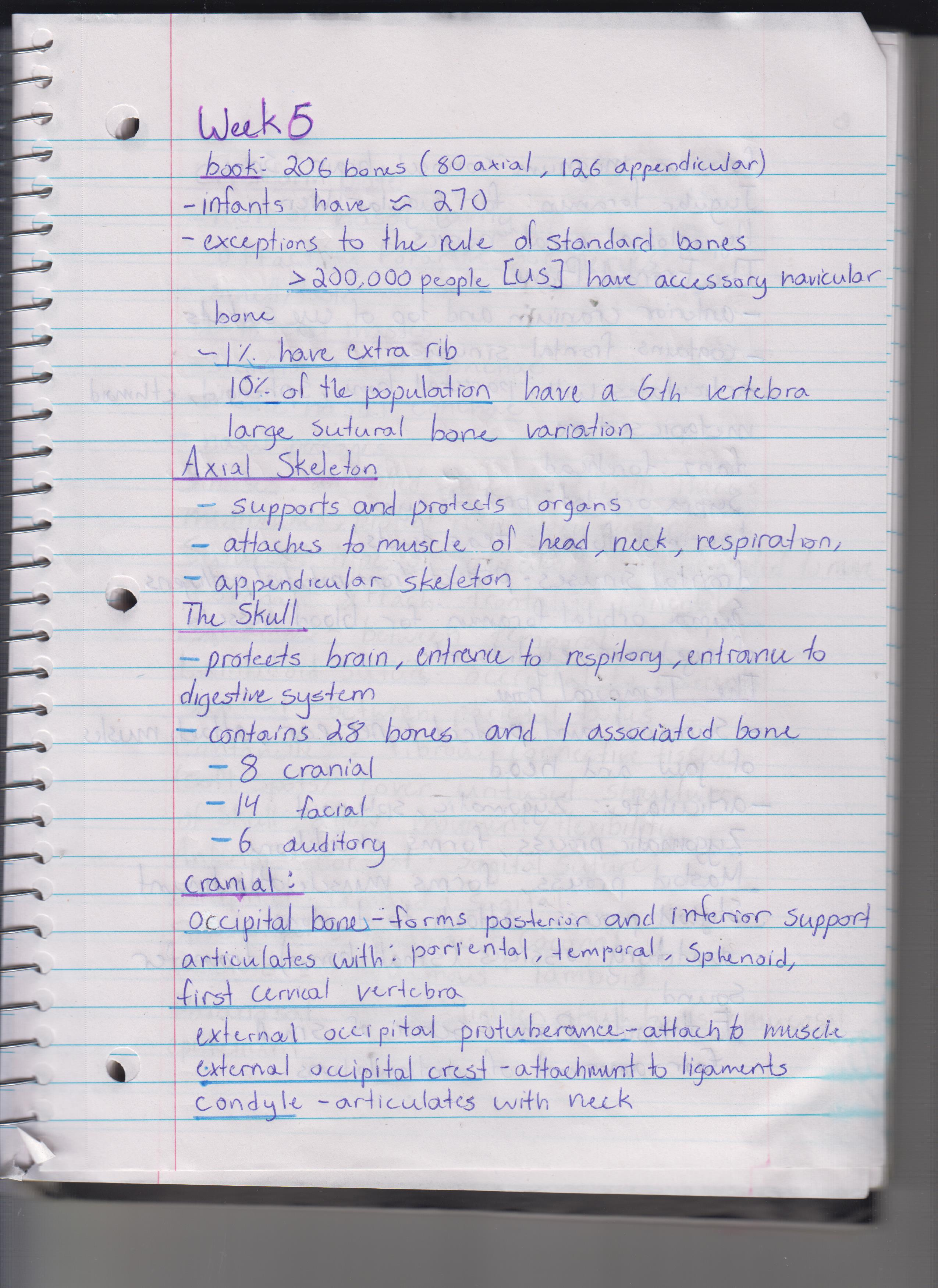 MCB 244: Week 6 Lecture Summary notes