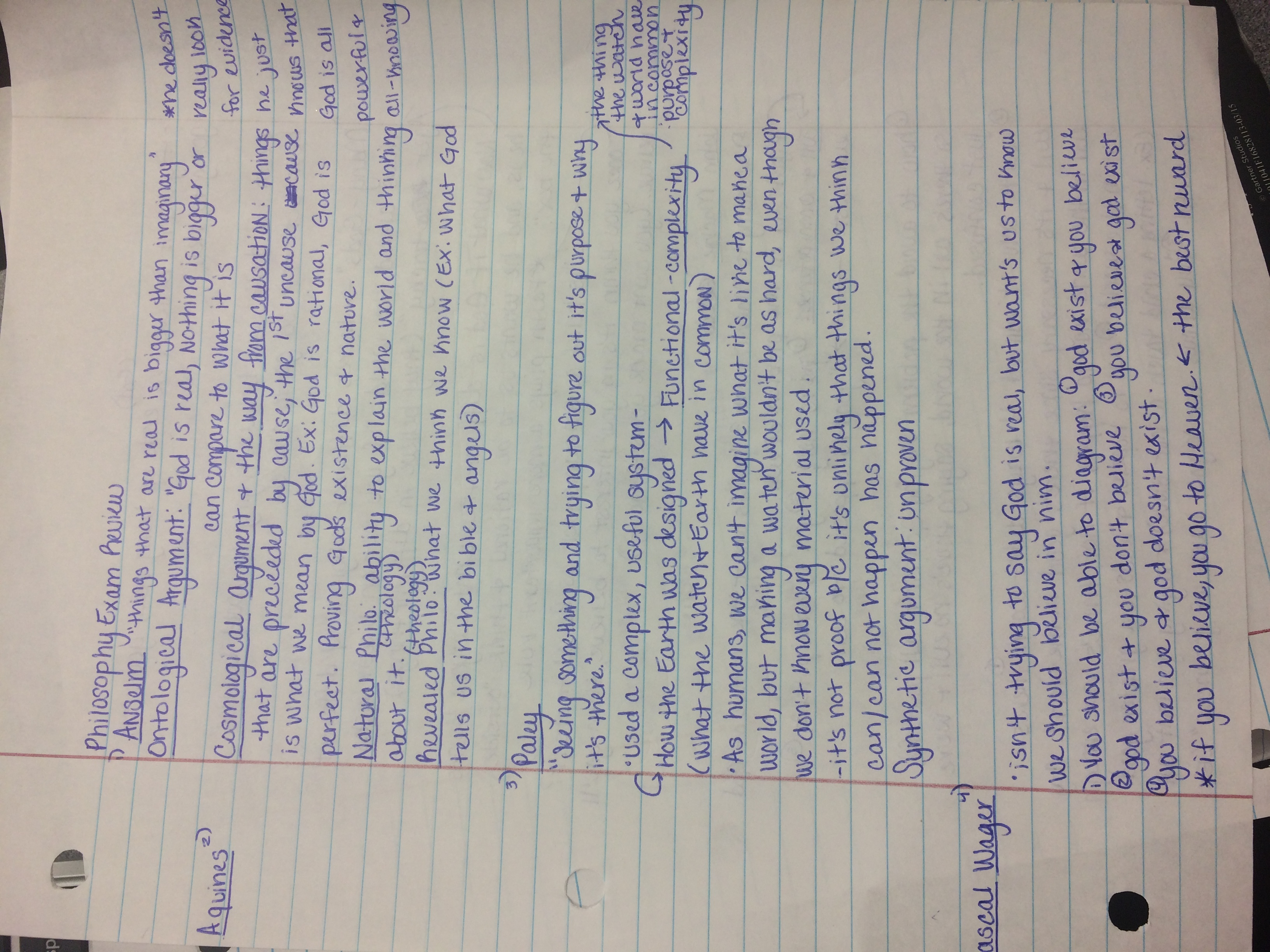 FINAL EXAM STUDY GUIDE! 