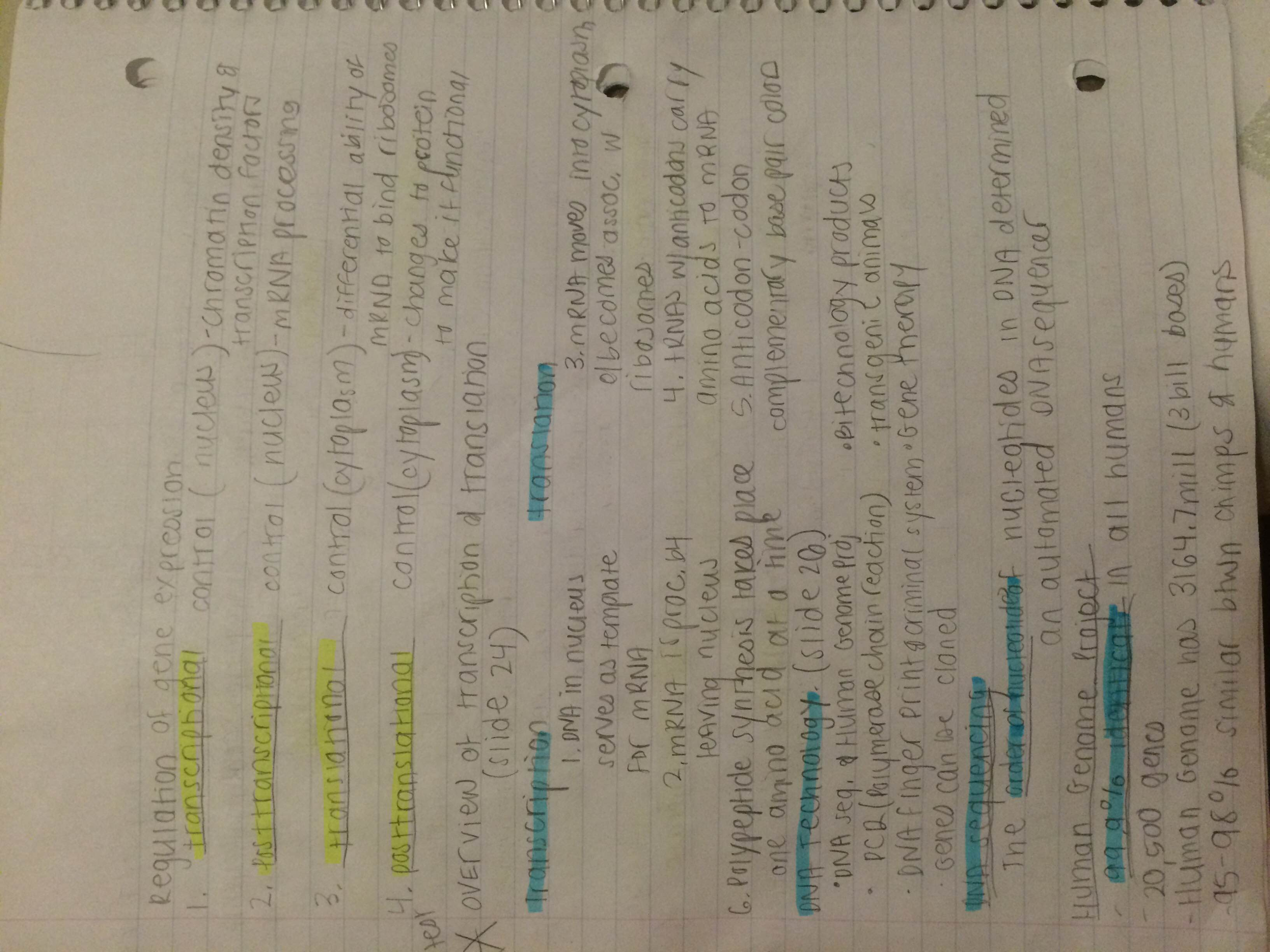 Chapter 21 notes 
