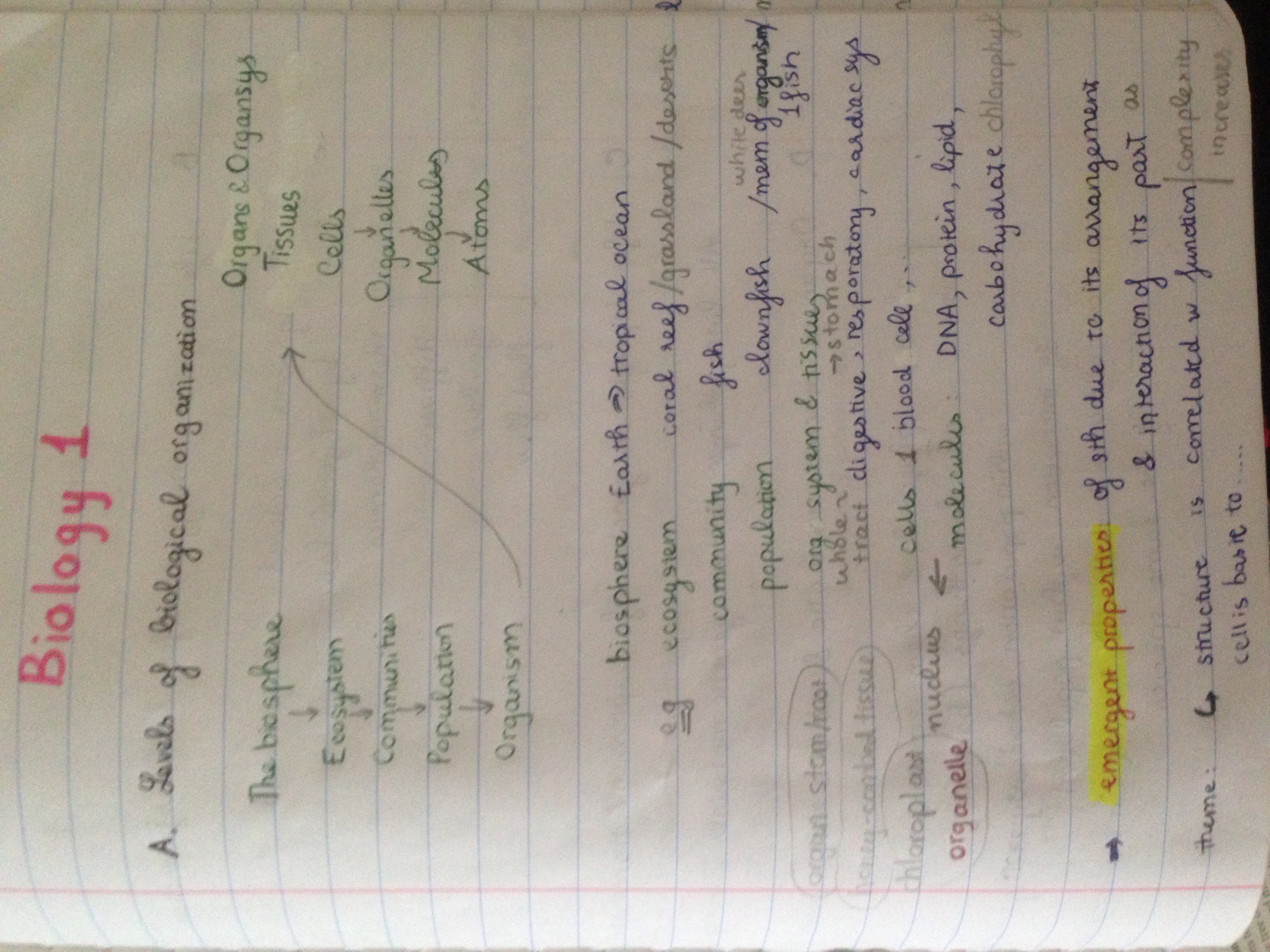 Exam 1 review sheet - Bio 11361 - Dr. Cheek