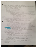 Introduction to Art History III - Week 1 Notes - Basics and Rococo Style