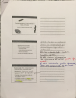 Macromolecules II and DNA