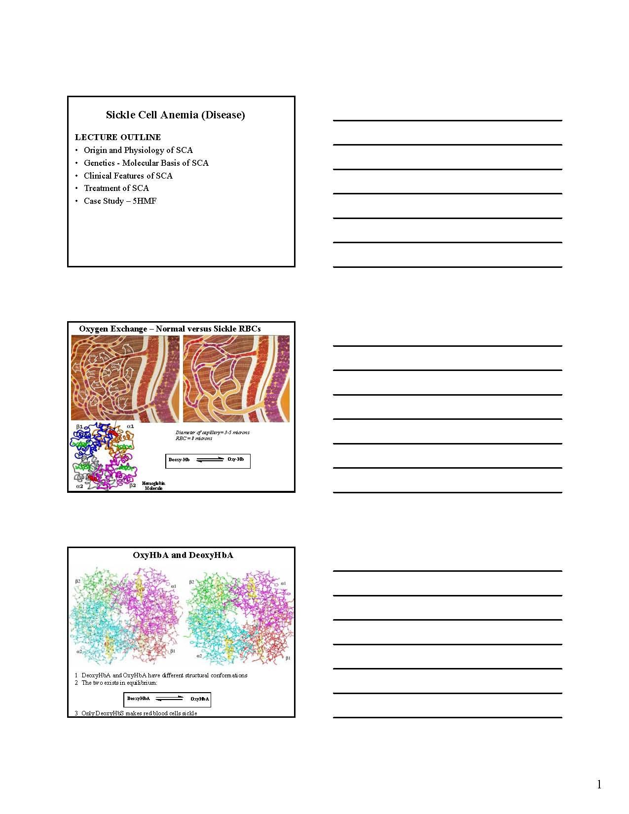 MEDICINAL CHEMISTRY & DRUG DES
