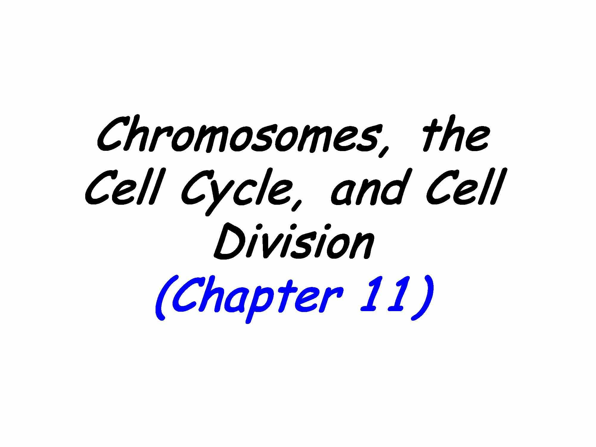 Principles of Biology I