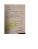 Chapter 7- Race and Human Variation