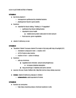 Week 5 Notes