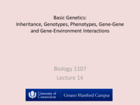 Bio 1107: Biology - Study Guide