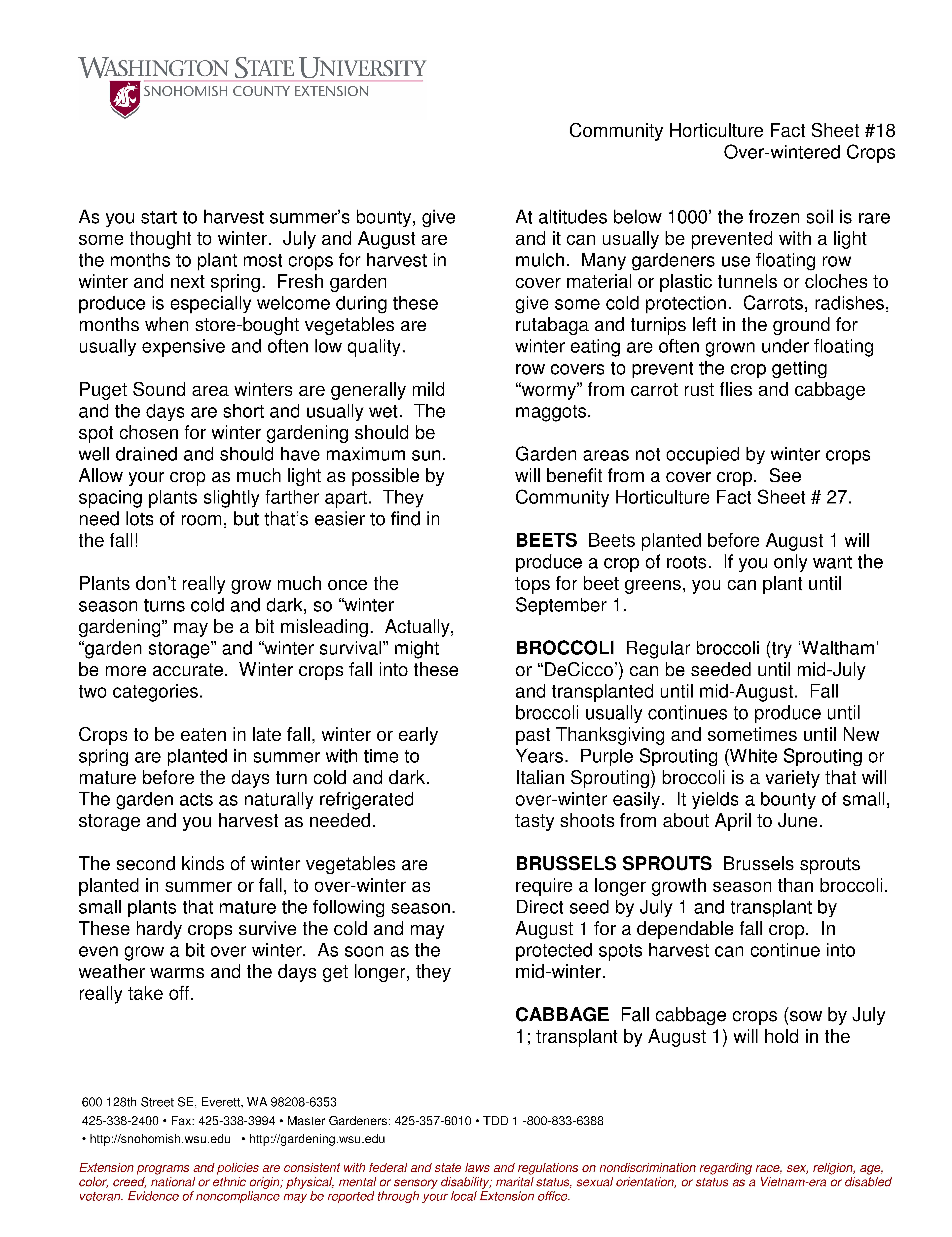 Special Projects or Independent Study