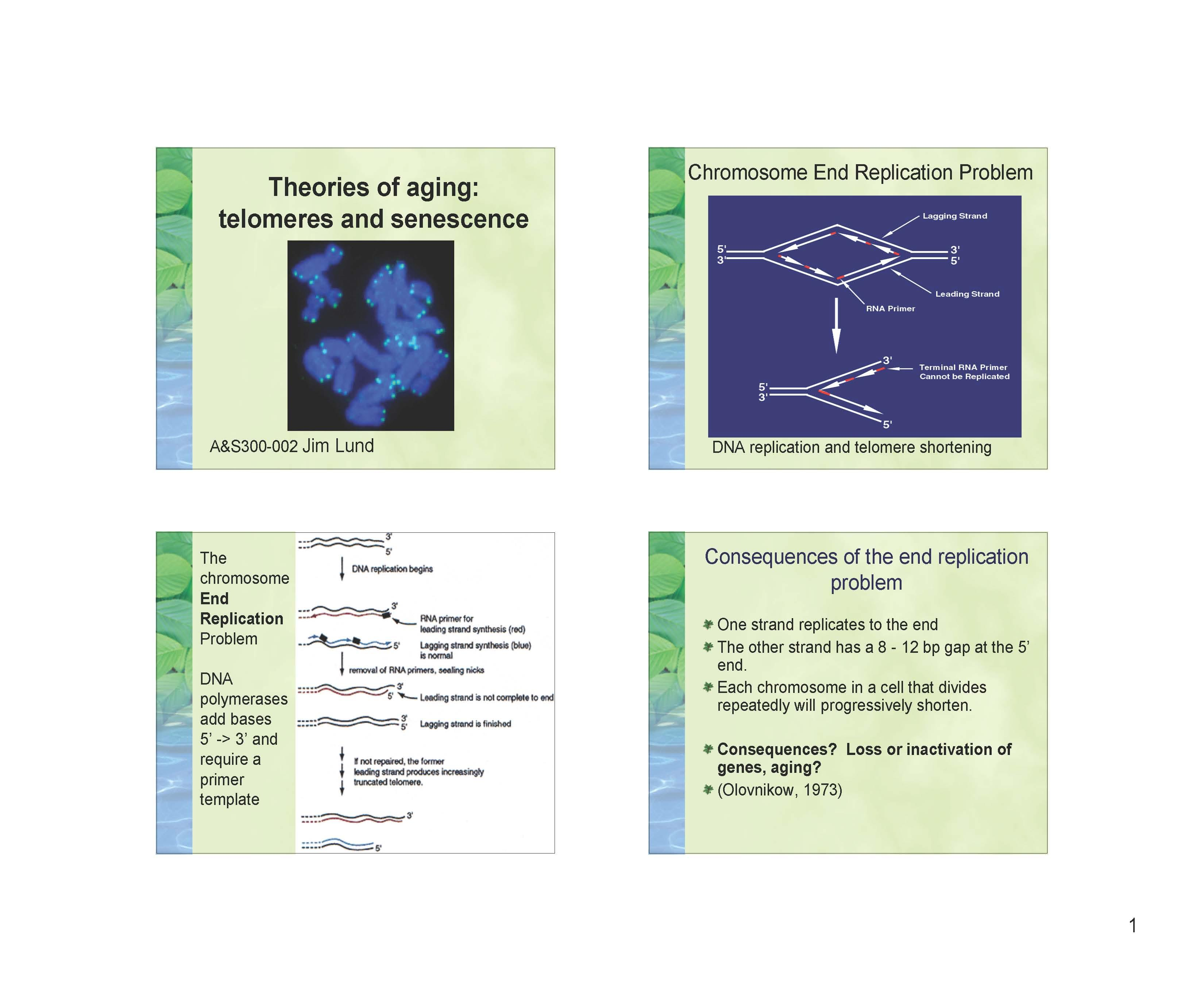 SPEC COURSE INTRO TO NEUROSCIENCE