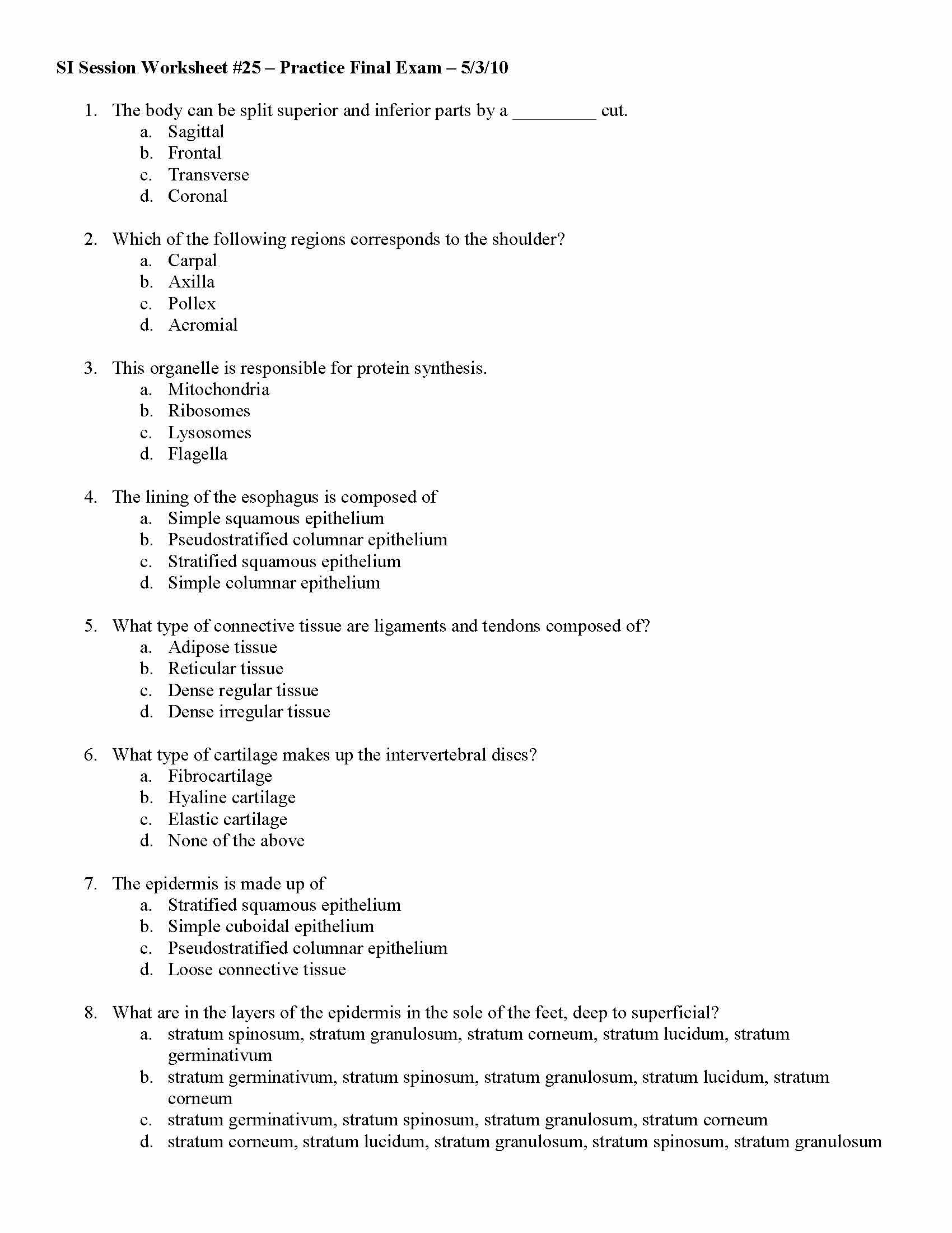 HumanAnatomy