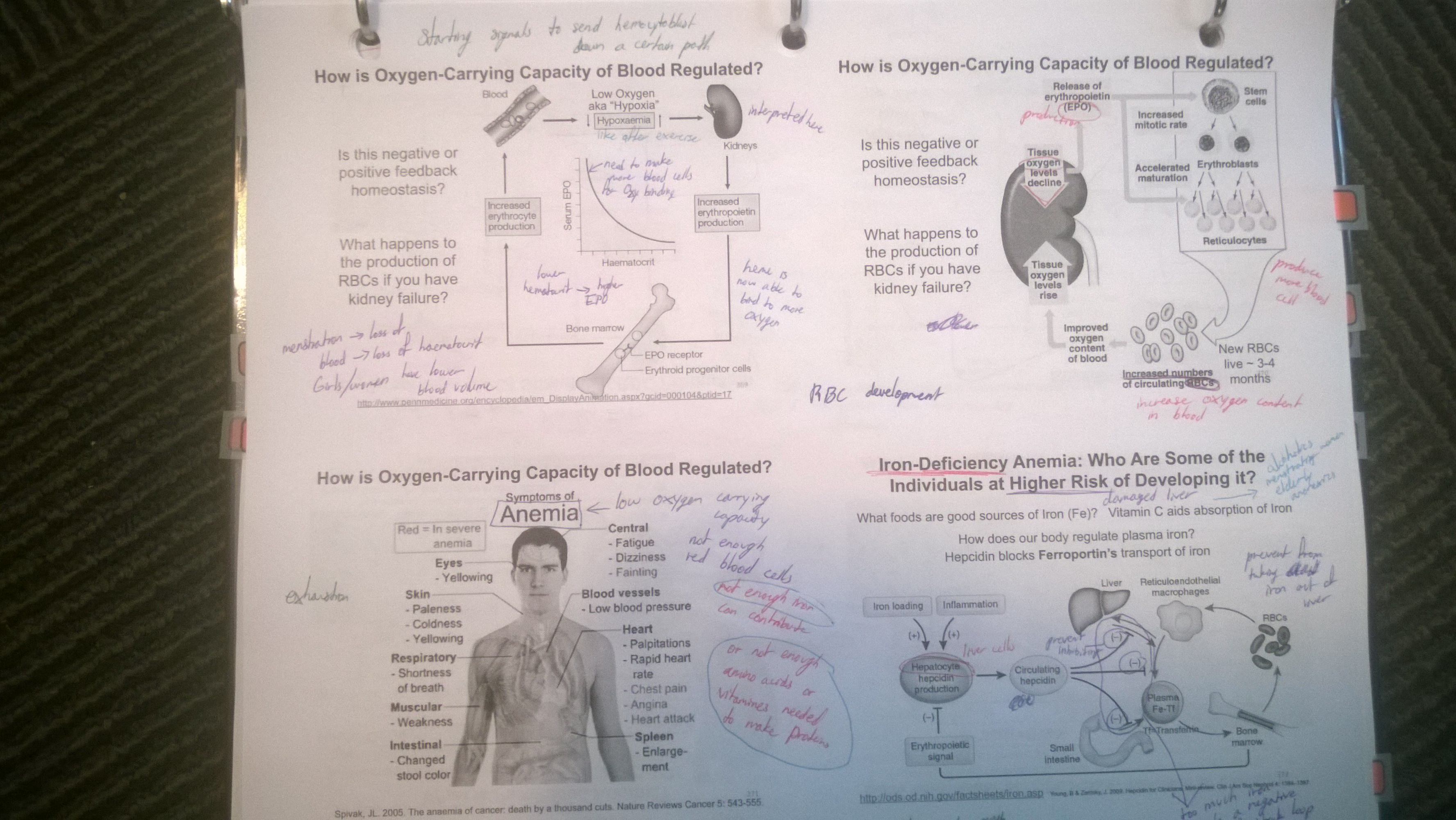 WP_20141106_001.jpg