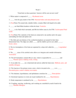 studyguidequestions.pdf