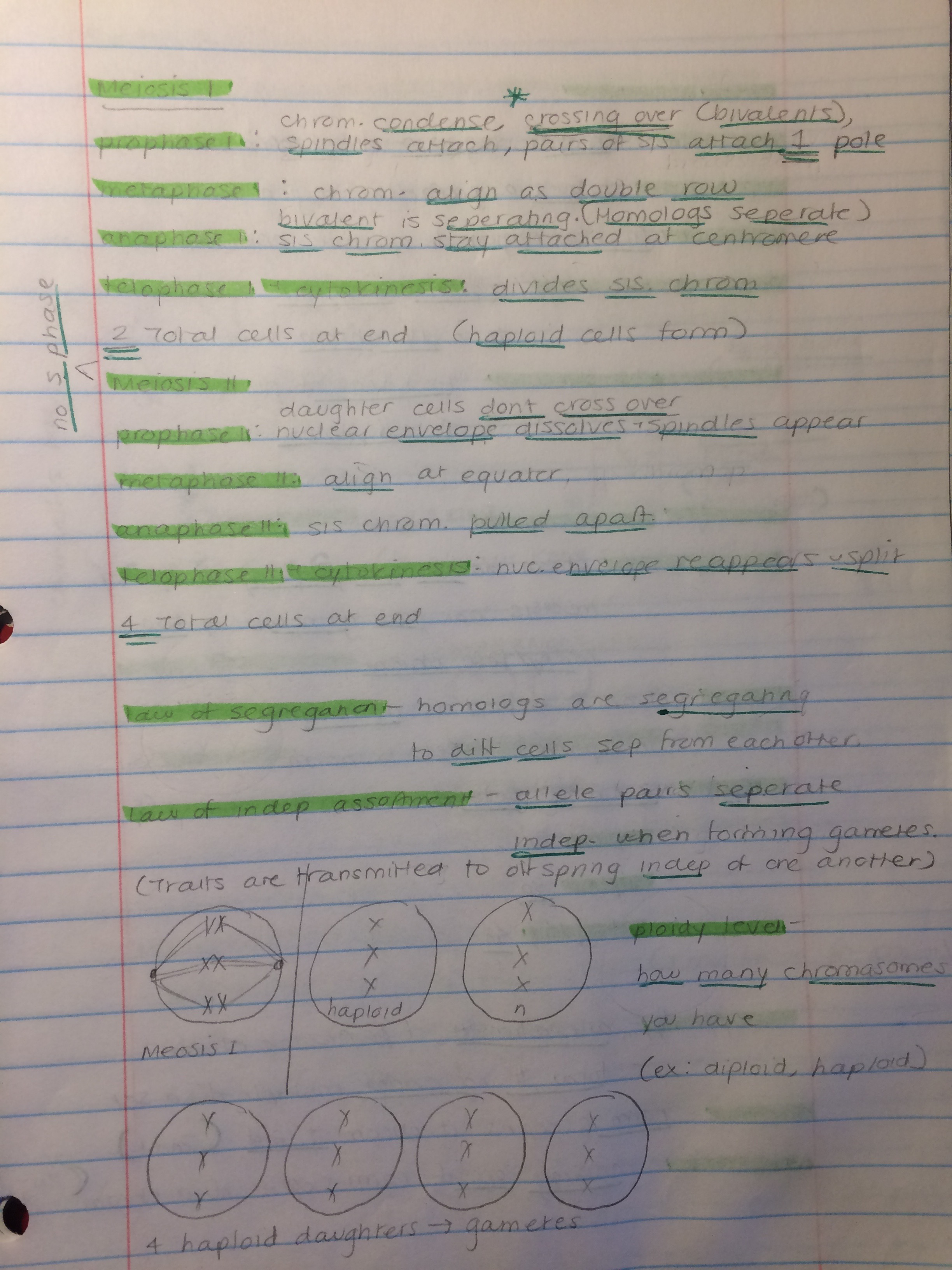 Ch.15 Meiosis and Chromosomes