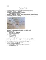 Week 13 Notes
