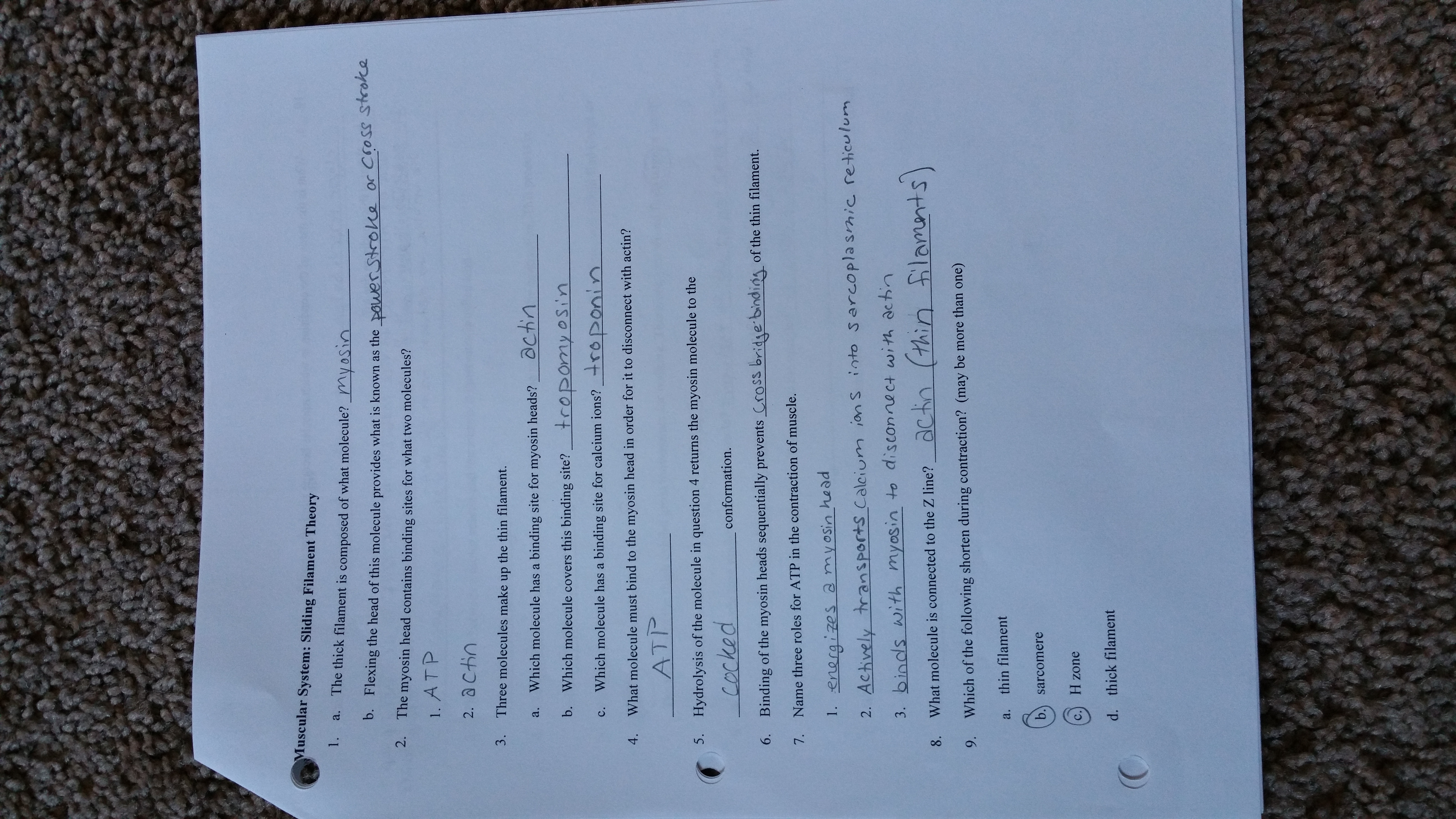 Study Guides 1-5