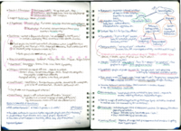 PSY-0022 Emotion: Bodily Changes and Emotion 10/8/15