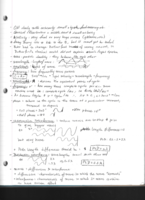 Week 2 Lecture Notes