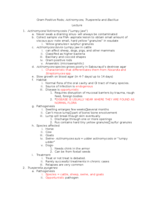 Gram Positive Rods; Actinomyces and Arcanobacterium