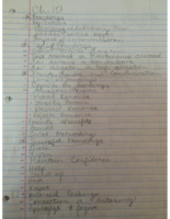 Interpersonal Communication Ch. 10-12