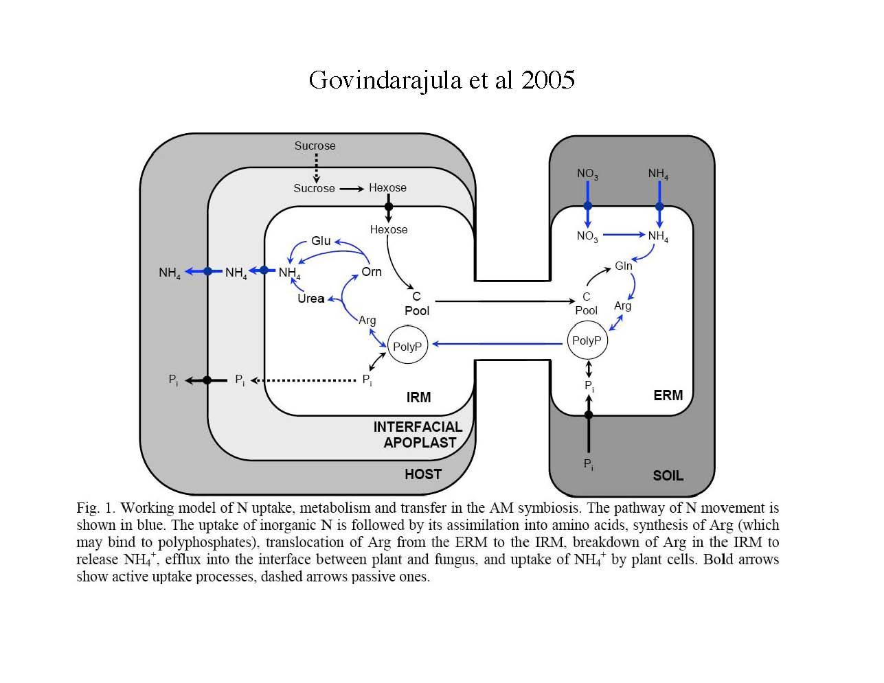 Soil Microbial Ecology