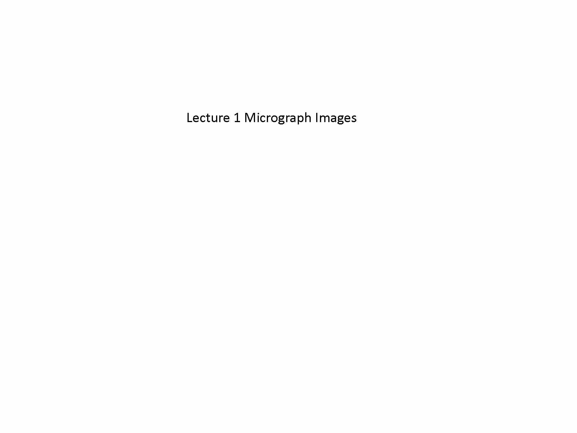 Principles of Biology