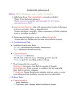 Bio Lecture 22: Vertebrate 2