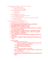 Chapter 5 Notes (Student form)