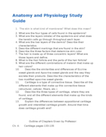 Integumentary System and Cartilage Study Guide